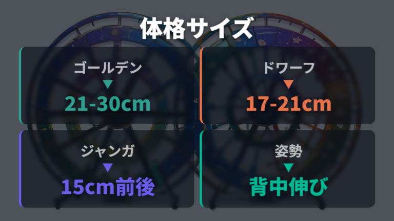 体格に合うサイズの選び方は背中の姿勢で確認する