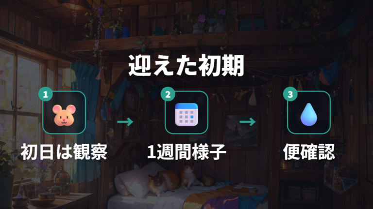 迎えてすぐのおやつは必要かを1週間の慣らしで考える