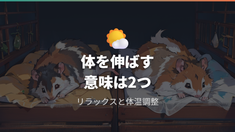 体を伸ばす寝方の意味はリラックスと体温調節の両面で見る