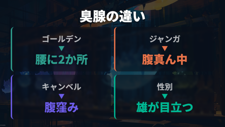 オスとメスで違う臭腺の見え方を種類別に整理する