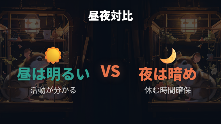 照明と夜行性の関係を昼と夜で比べる