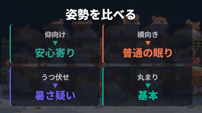 寝方でわかるハムスターの気持ちを姿勢別に比べる