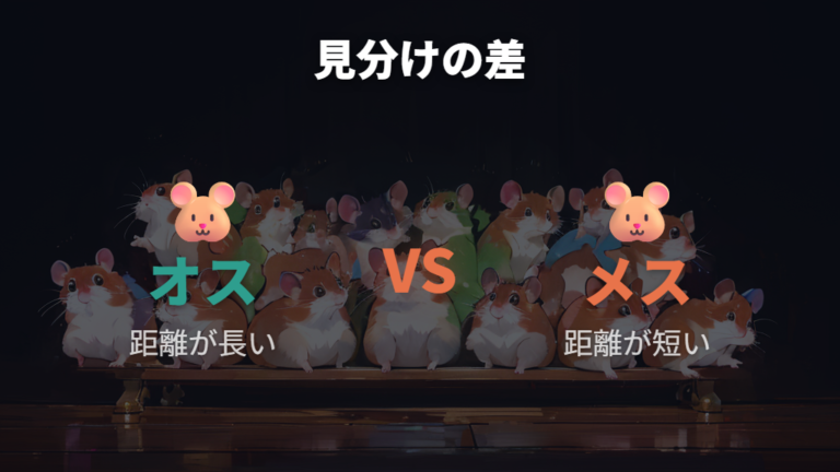 オスとメスの見分け方は距離とふくらみを見る
