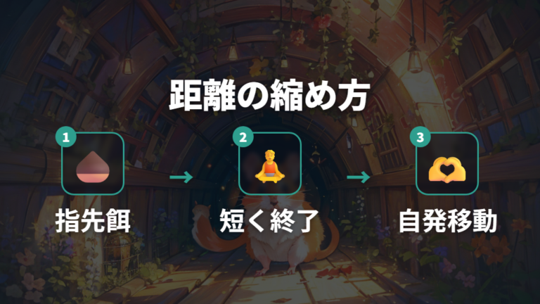 餌を使った距離の縮め方で手を怖くないものにする