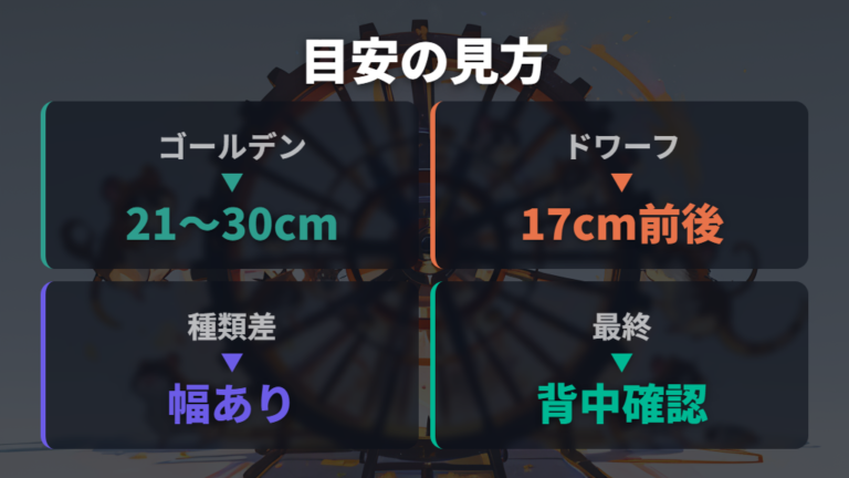 種類別のサイズ目安はどれを信じればいい?