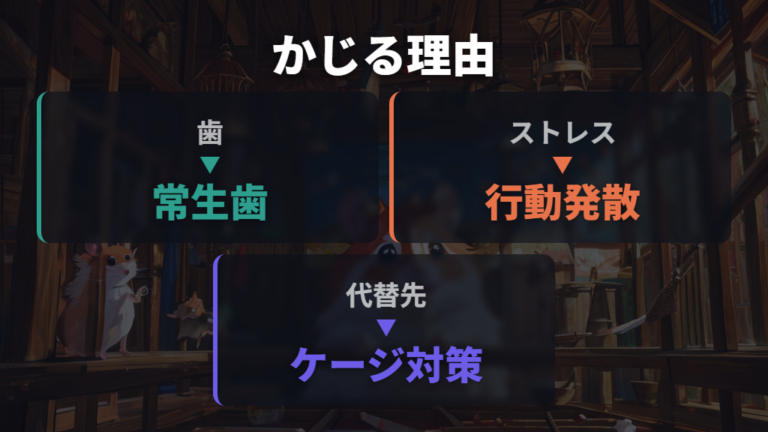 かじり木をかじる理由は歯とストレスのケア