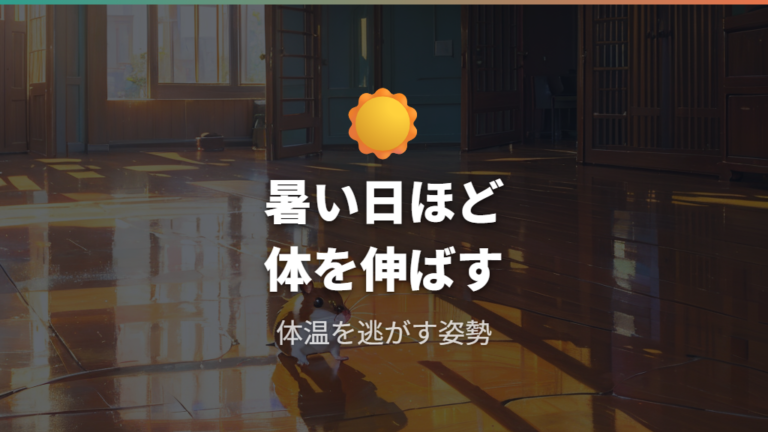 暑い日の伸び寝は室温も合わせて確認する