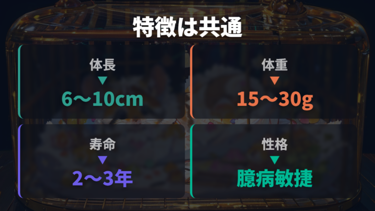 性格・大きさ・寿命の特徴はブルーだけ違う?