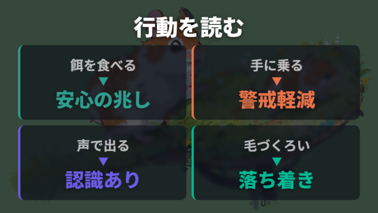 なついたハムスターに見られる行動を手の反応で読む