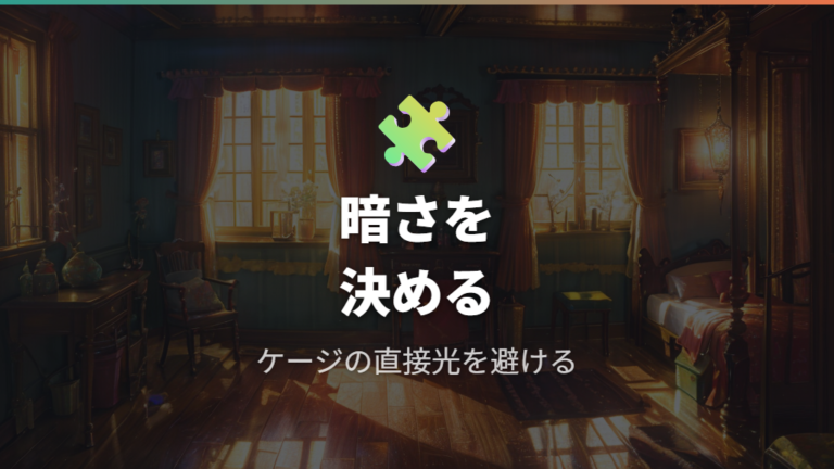 夜はどれくらい暗くするべきか迷ったときの考え方