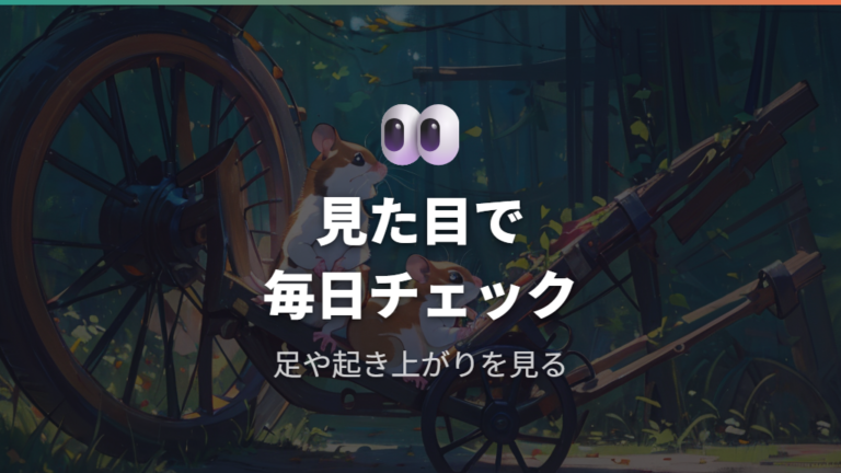 見た目でわかる太りすぎサインを毎日観察する