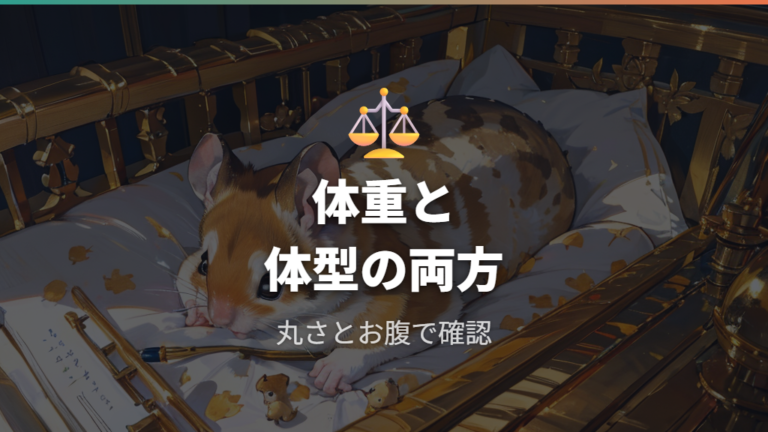 肥満かどうかの見分け方は体重と見た目を合わせる
