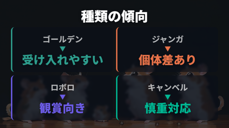 種類で変わる懐きやすさを比較する