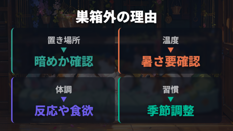 巣箱で寝ないときの理由を環境から見直す