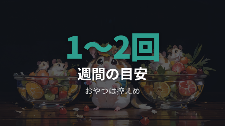 適量と頻度の目安はどれくらい?