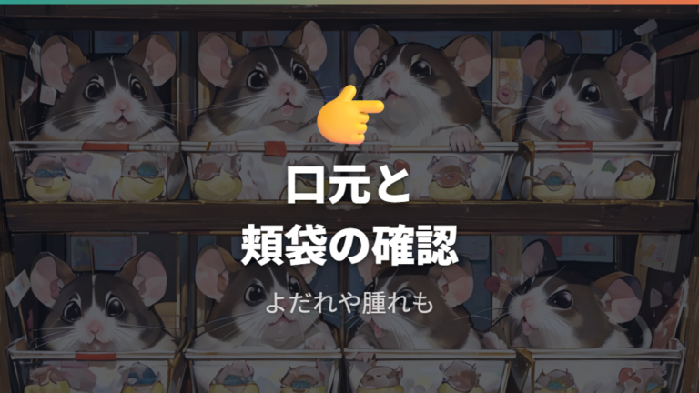 歯の異常で食べられない症状を口元から確認する