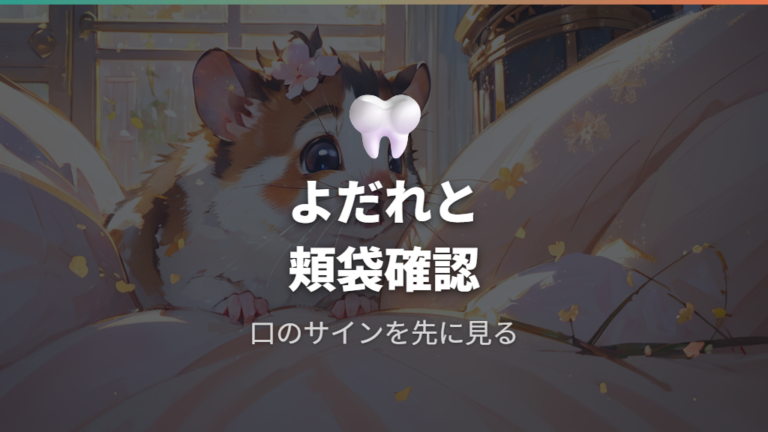 歯や口のトラブルの確認はよだれと頬袋も見る