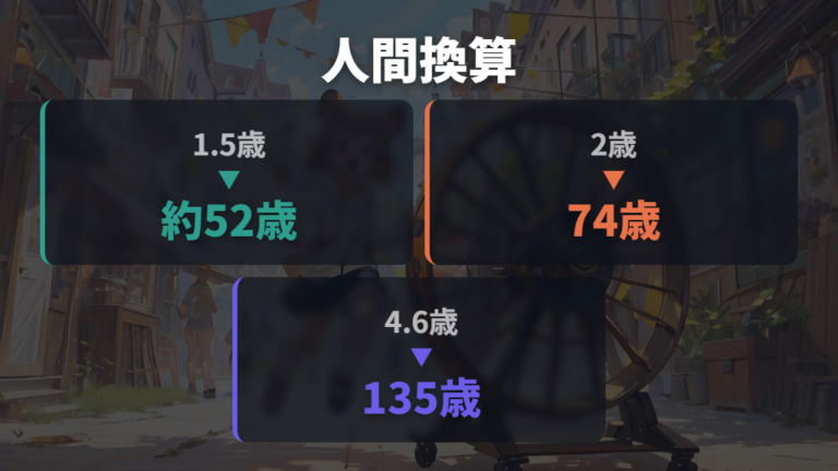 人間の年齢に換算する一例で4年6か月のすごさを見る