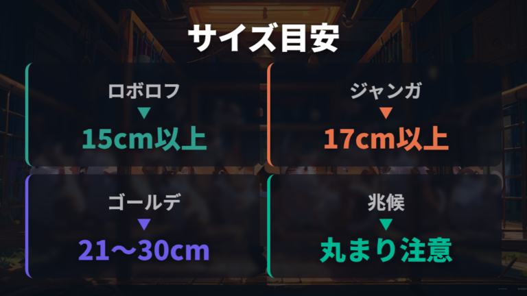 サイズが合わないと起きる不具合を種類別の目安で比べる