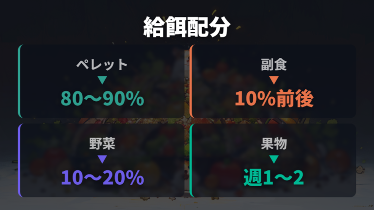 ペレットと副食の適量は主食中心で配分する