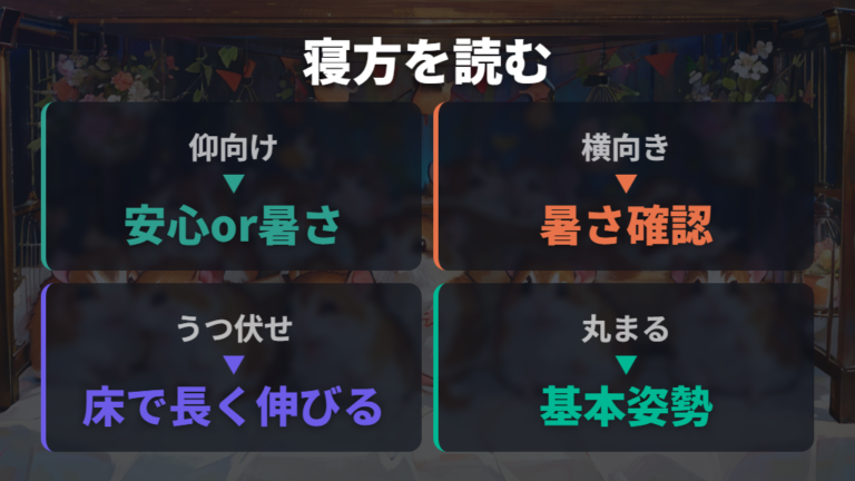 寝方ごとに確認したいポイントは姿勢だけで決めつけない