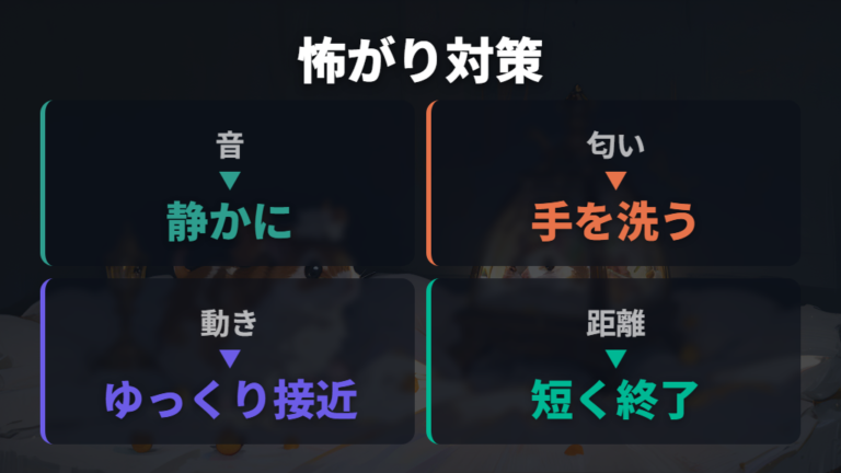 手を怖がる子への接し方は音と匂いから整える