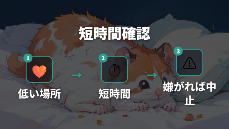 性別確認時の安全な持ち方は短時間でやさしく行う