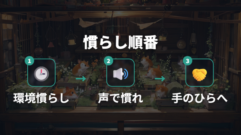 噛まれにくい慣らし方と手乗りの順番
