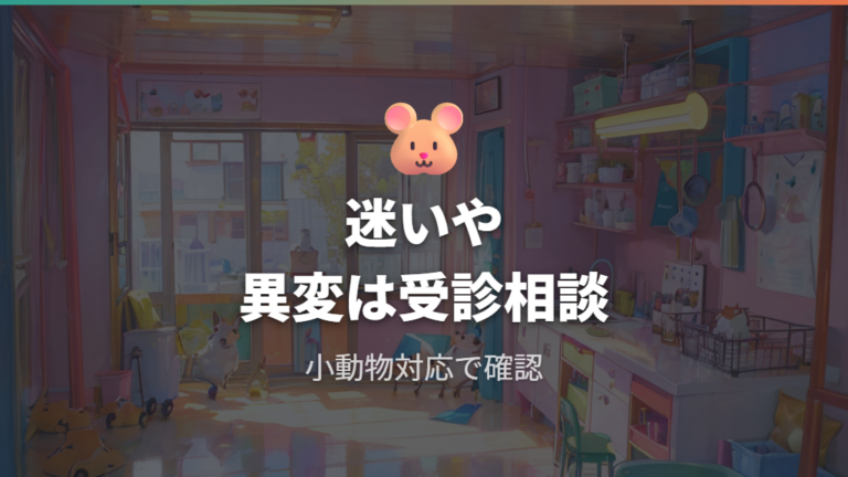 動物病院で確認すべきケースは迷う時と異変がある時