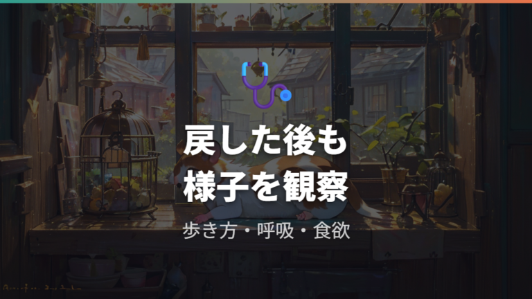 見つかった後の健康確認はどこまで見るべき?