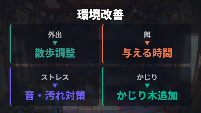 ケージ越しに噛む原因を減らす環境改善を比べる