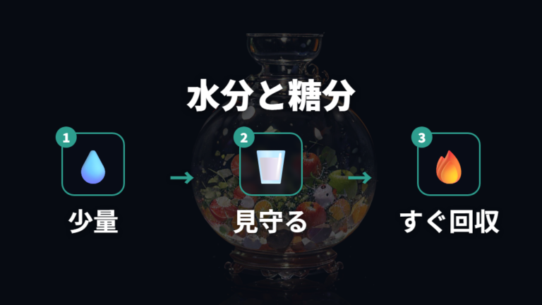 野菜や果物の選び方で水分と糖分を避けすぎない