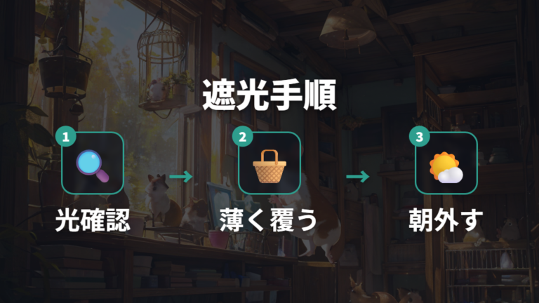 夜はどれくらい暗くするべきかを遮光の手順で整える