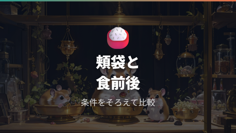 頬袋や食前食後をそろえる体重記録の頻度とコツ