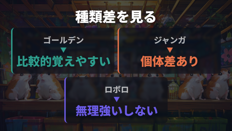 トイレを覚えない時の対処で種類差と個体差を知っておく
