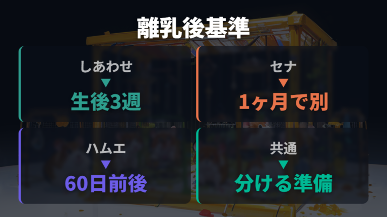 子ハムが増えた後の負担は親離れと性別分けで変わる