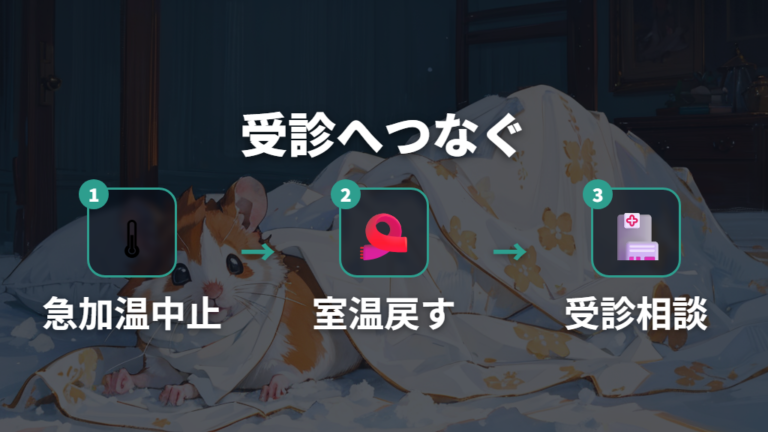 疑似冬眠が疑われるときの温め方と受診目安