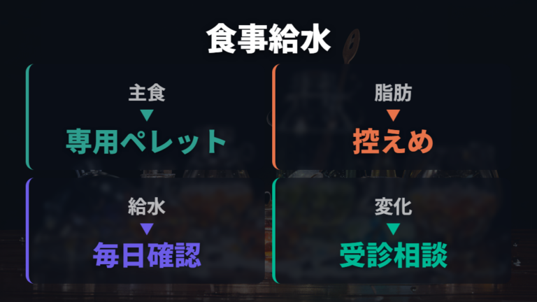 食事と給水で確認したいこと