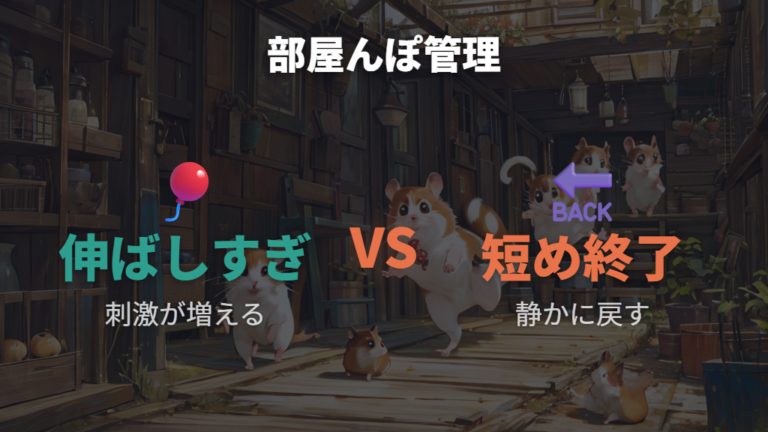 ストレスをかけない触れ合い方で部屋んぽと遊びを管理する