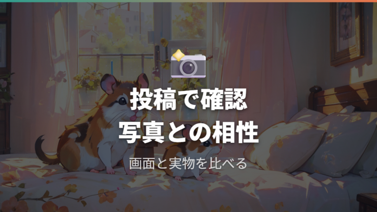 毛色から考える名前候補をSNS投稿にもつなげる