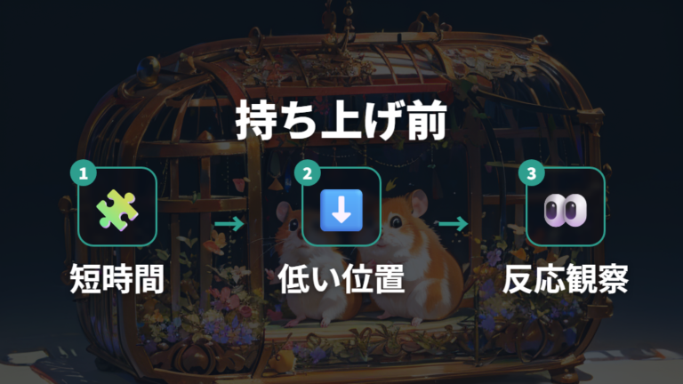 手乗りまでの慣らし方で持ち上げる前に確認すること
