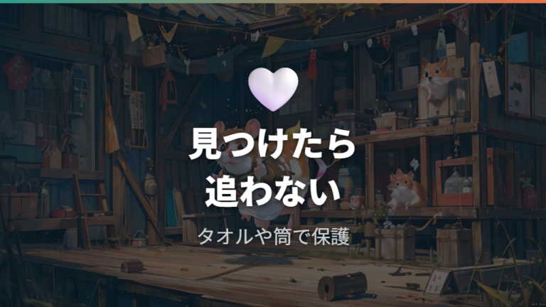 発見したら追いかけずに捕まえるのが正解?