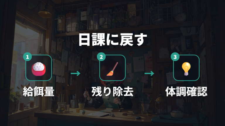毎日の食事管理で生き餌に頼りすぎない