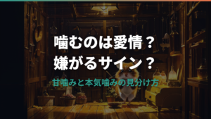 ハムスターが噛むのは愛情表現?甘噛みと本気噛みの見分け方