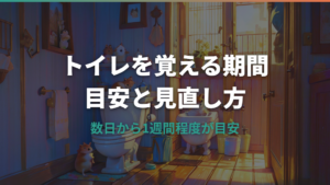 ハムスターがトイレを覚える期間は?目安と覚えないときの見直し方