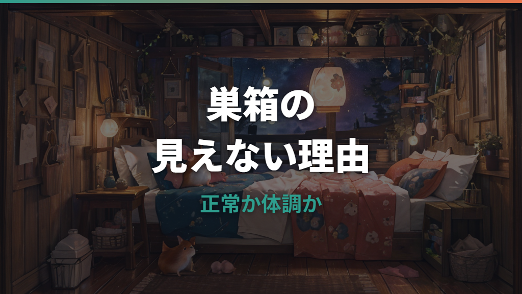 ハムスターが巣箱から出てこない時の見分け方と安全な対応