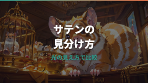 ゴールデンハムスターのサテンとは?毛並みの違いと迎える前の注意点