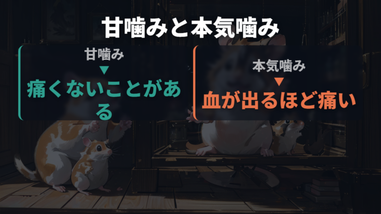 甘噛みと本気噛みの違いは痛みと仕草で見る