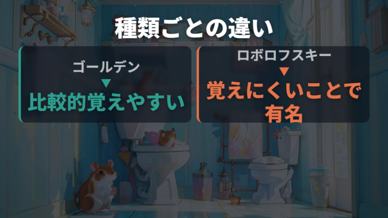 年齢や種類による覚えやすさはゴールデンとロボロフスキーで違いを見る