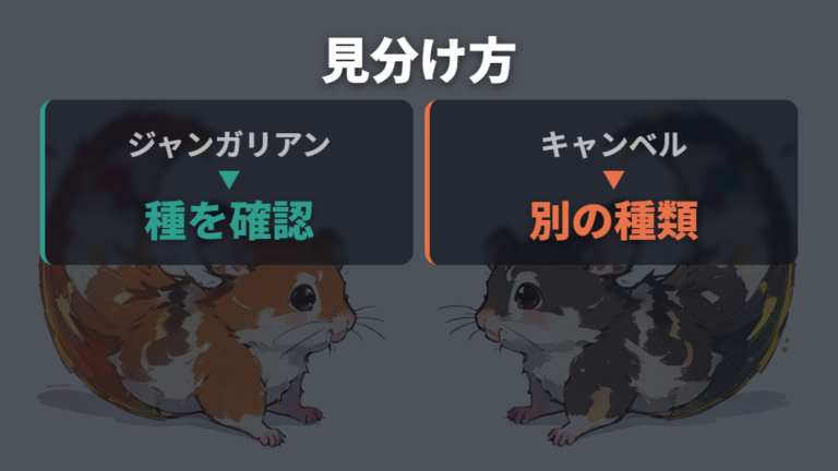 キャンベルとの見分け方は販売名だけで決めない